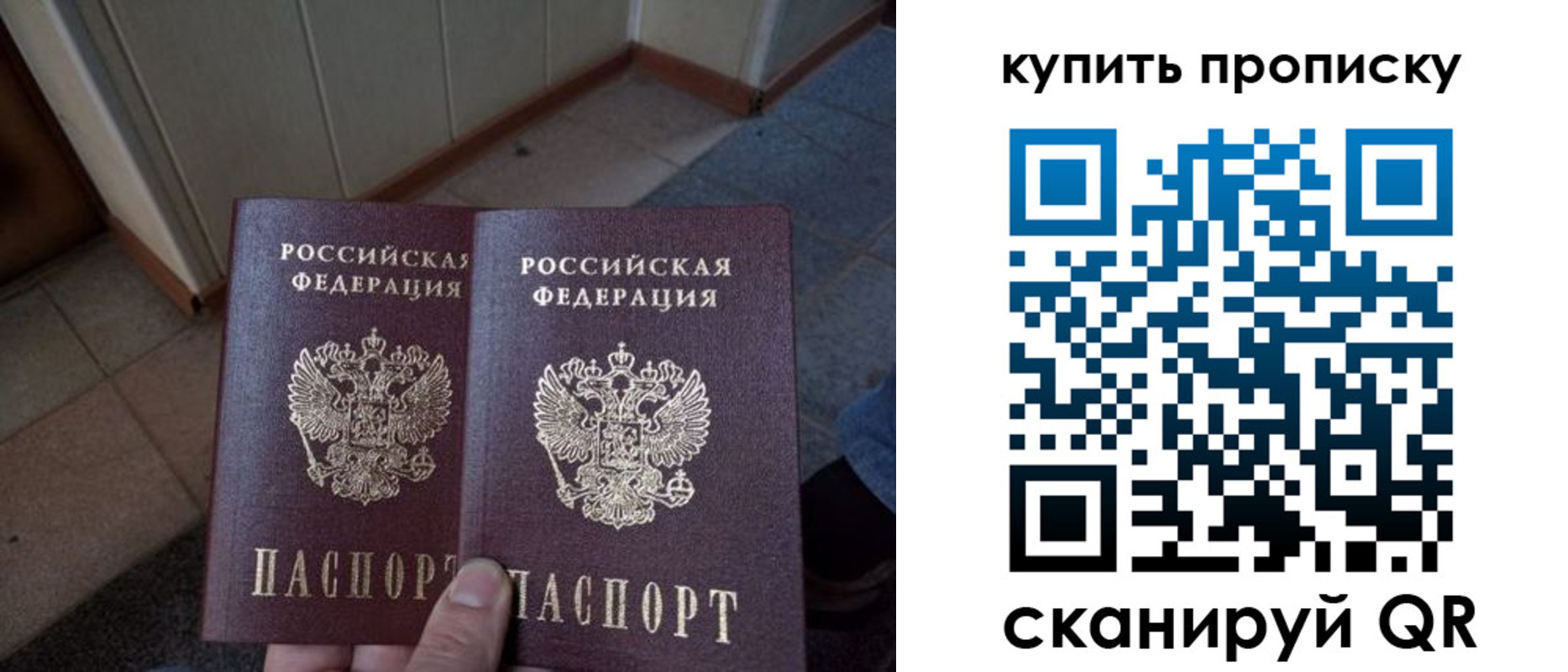 купить прописку в Сясьстрое